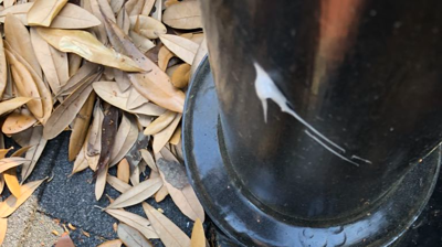 Roofing Repairs Photo