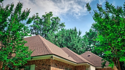 Shingle Roofs Photo